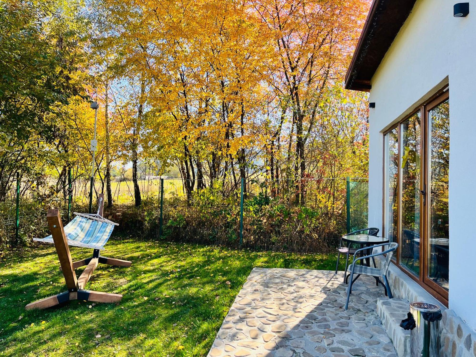 Silver Bungalow Sacele Exterior photo